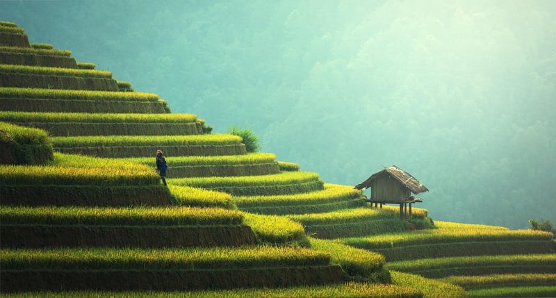 Sustainable Design Tips